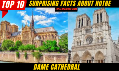 FACTS10 + Surprising Facts About Notre Dame Cathedral