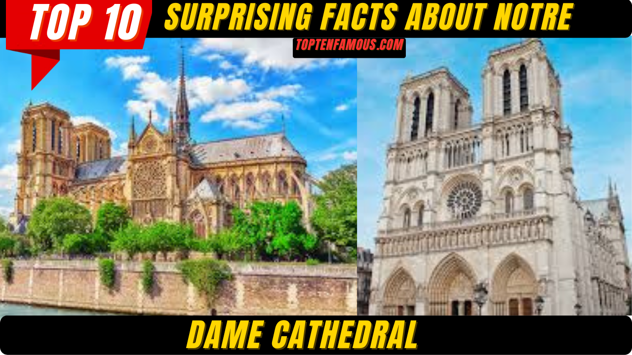 FACTS10 + Surprising Facts About Notre Dame Cathedral