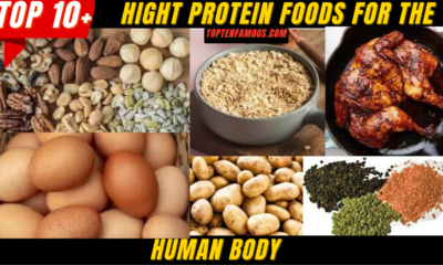 FOODTop 10 High Protein Foods for the Human Body