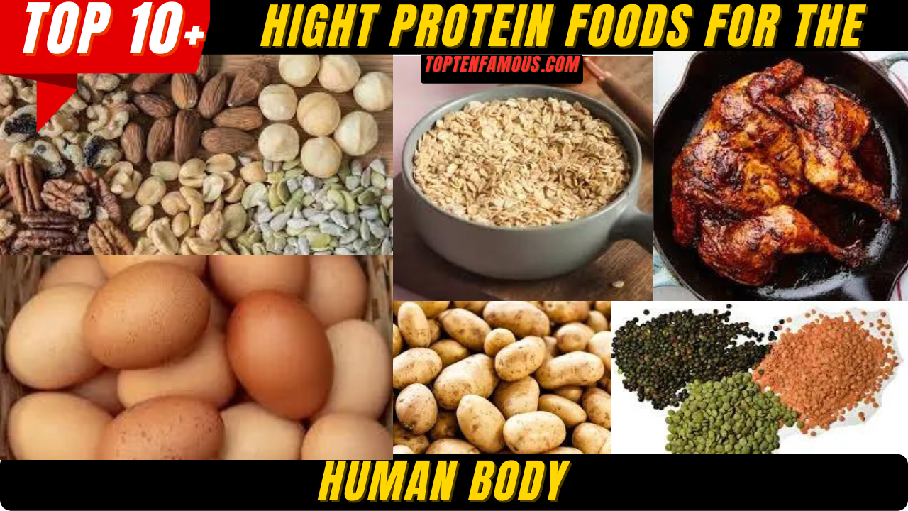 FOODTop 10 High Protein Foods for the Human Body