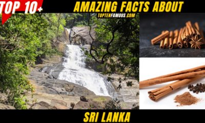 10 Amazing Facts About Sri Lanka