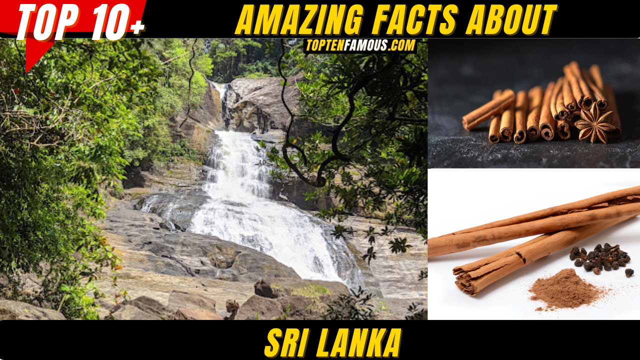 10 Amazing Facts About Sri Lanka