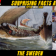 10 + Surprising Facts About The SWEDEN