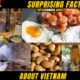 10 + Surprising Facts About Vietnam