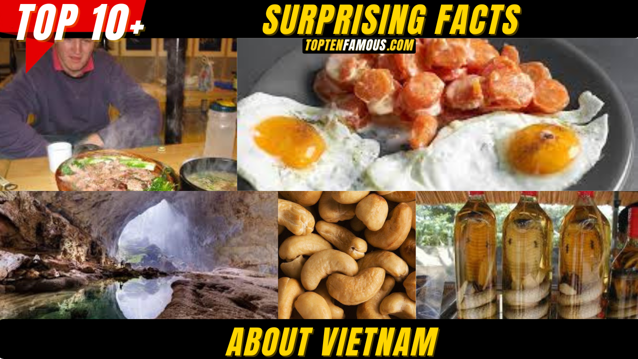 10 + Surprising Facts About Vietnam