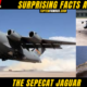 10 + Surprising Facts About The SEPECAT JAGUAR