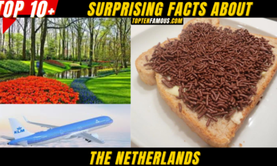 10 + Surprising Facts About The Netherlands