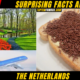 10 + Surprising Facts About The Netherlands