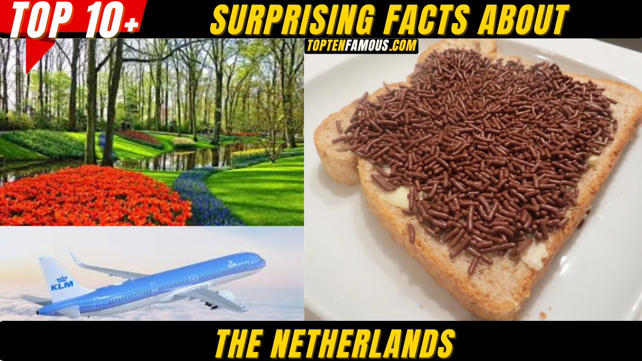 10 + Surprising Facts About The Netherlands
