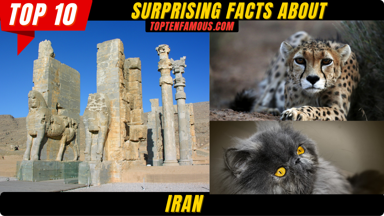 FACTS10+ Surprising Facts About Iran