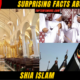 FACTS 10 + Surprising Facts About Shia Islam