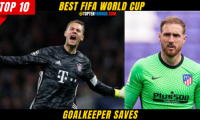 10 Best FIFA World Cup Goalkeeper Saves