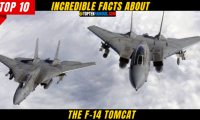 10 + Incredible Facts About The F-14 TOMCAT