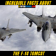 10 + Incredible Facts About The F-14 TOMCAT