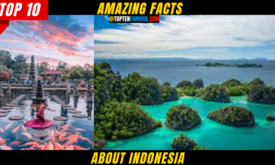 10 Amazing Facts About Indonesia