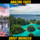 10 Amazing Facts About Indonesia